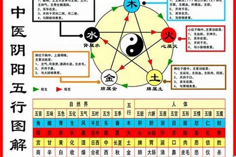 1984鼠五行|1984年屬鼠是什麼命？最全鼠命命相批註！